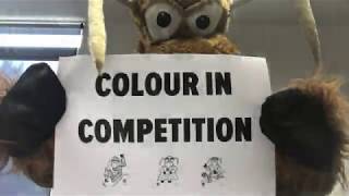 Colour in Competition