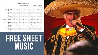 Hermoso Cariño - Vicente Fernández - Mariachi Transcription