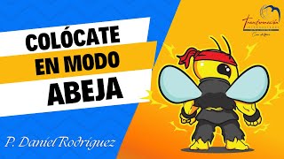 Códigos Proféticos-Colócate en modo Abeja – Pastor Daniel Rodríguez