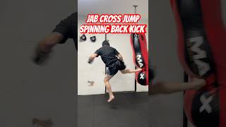 Jab, Cross & Jumping Spinning Back Kick Combo #shorts #spinningbackkick