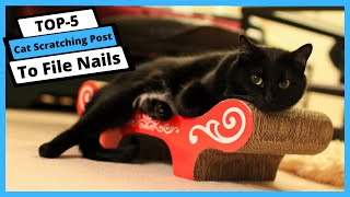 ✅ Best Cat Scratching Post to File Nails: Cat Scratching Post to File Nails [Tested & Reviewed]