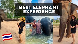 Elephant Jungle Sanctuary in Pattaya, Thailand