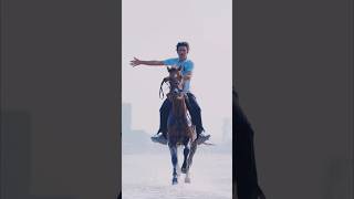 Dubai beach horse riding #arabichorse #love #arabianhorse #equestrian