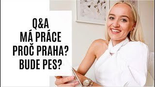 Q&A | MÁ PRÁCE, PROČ PRAHA, BUDE PES?