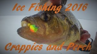 Ice Fishing 2016 Crappies and Perch