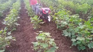 raja enterprises power tiller  |shetkari status |#shyamkambleofficial #sraja #shetkari🌱🌱🌱🍁🍁🍁