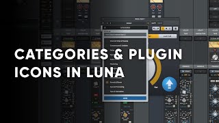 Categorize Third-Party Plugins in LUNA