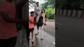 Horse riding in Mumbai |Horseback riding | मुंबई के मानसून में घुड़सवारी | Kharghar Monsoon