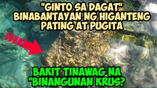 GINTO SA ISLA BINABANTAYAN NG HIGANTENG PATING AT PUGITA