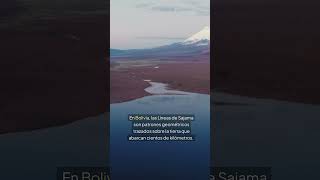 Las Líneas de Sajama (Bolivia)