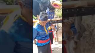 PASUKAN GOTONG MANUK PCK LIVE CIGUPAKAN