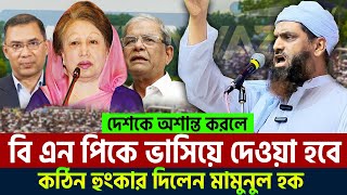 দেশে শান্তি শৃঙ্খলা বজায় রাখার আহ্বান আল্লামা মামুনুল হকের। allama mamunul hoque=20/10/24 #ep43