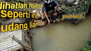 nge bubu di saat air keruh, dapat udang satu ember