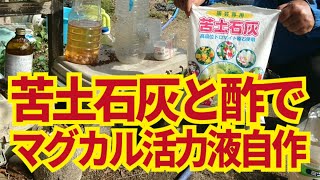 苦土石灰と酢でできる強力な活力剤、酢酸マグカル液の作り方。【家庭菜園常備活力剤】10/25