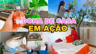 ROTINA DIÁRIA CUIDANDO DO LAR 🏠 DONA DE CASA EM AÇÃO 💕