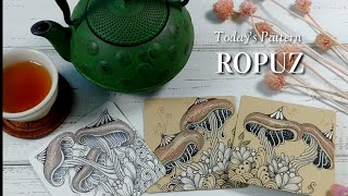 Today's Zentangle  Pattern 'ROPUZ' /젠탱글 패턴