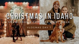 Vlogmas Day 7: The Christmas River & Idaho Snow Dogs