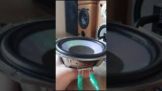 Sony woofer flex