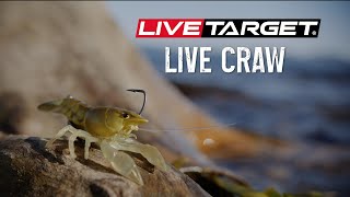 The LIVE CRAW from LIVETARGET: Coming soon!