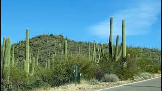 Arizona, Land of Grace & Beauty ,,,, 🌵