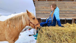 Конюшенные будни 💪| Спасаем крышу сенника КоноVLOG