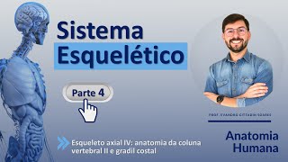 SISTEMA ESQUELÉTICO - PARTE 4 - ESQUELETO AXIAL IV: ANATOMIA DA COLUNA VERT. II E DO GRADIL COSTAL