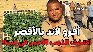 من أراضي الخيّر: شركة أفرو لاند في الأقصر - تفاصيل الذهب الأحمر في إسنا! ✅🤍