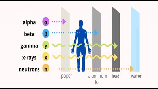 Comparison Between Alpha, Beta, Gamma, X-ray and Neutron Radiation