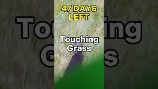 TOUCHING GRASS PART 318/365 #touchinggrass