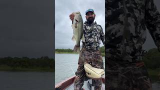 Bass Fish catching videos #bassfishing #fyp #armstrongmountainside