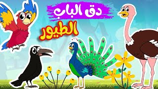 أطفال دق الباب الطيور بيبي Kids Baby