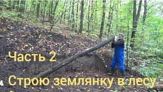 Землянка в лесу. #Часть 2. Белые грибы повсюду!!!