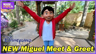 Miguel From "Coco" Meet and Greet at Disneyland Paris for Halloween Festival 2024