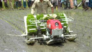 Rice Transplanter operation in Field in Bangladesh