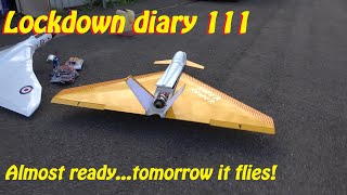 Lock down diary 111