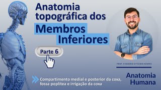 ANATOMIA TOPOGRÁFICA DOS MEMBROS INFERIORES - PARTE 6