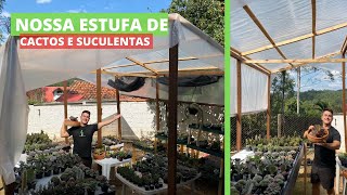 Nossa Estufa de CACTOS e SUCULENTAS - Venha conhecer -  Atualizações das nossas plantas, como estão?