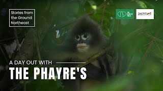 A Day out with the Phayre's |  Stories from the Ground: Northeast India | The Habitats Trust Films