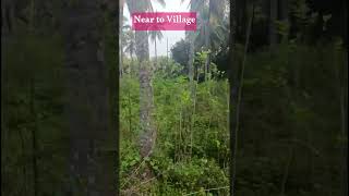 20 Kunta farm land at Channapatna 🌴📱7619398566