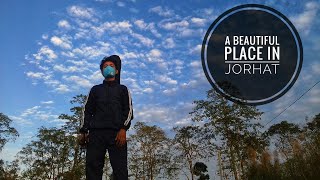 Vlog /Welcome to Jorhat,Assam /A beautiful place in Jorhat/ Awesome Assam/Buffalo/Brahmaputra River