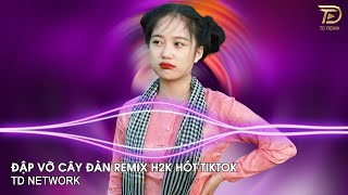 Đập Vỡ Cây Đàn Remix (TD Network) ~ Đập Vỡ Cây Đàn Giận Người Con Gái Yêu Đàn Remix Hot TikTok