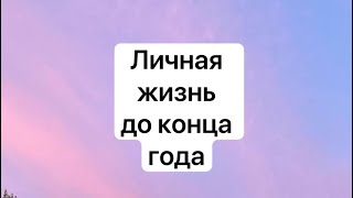 Личная жизнь до конца года ✨таро прогноз✨подсказка от ТАРО✨❤️