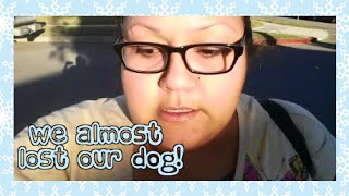 ✼WE ALMOST LOST OUR DOG!✼ - 12/26/14 - LoloandCJ