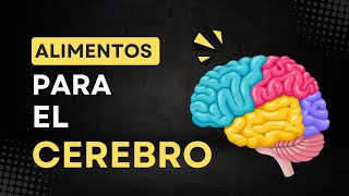 Cuida tu cerebro: Conoce los 10 alimentos buenos para el cerebro que lo protegen y potencian