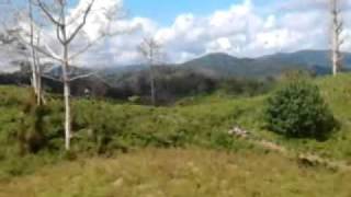 chocolate hills site