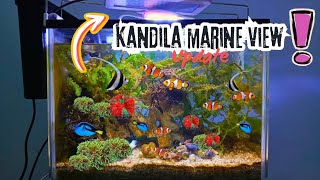 Pemakaian Kandila Marine View Setelah 1 Minggu‼️ Kok gini⁉️