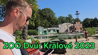 ZOO Dvůr Králové 2023 4K