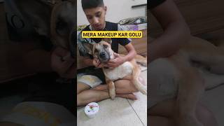 jacky makeup karane mai laga hua hai jacky ka hoga makeup #shorts #viral #trendingshorts #dogshorts