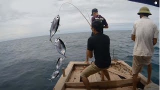 Fish hunting||| Câu Cá Dìa Cong Cần