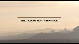 Wild About North Norfolk - Visit North Norfolk for the wildlife and birds